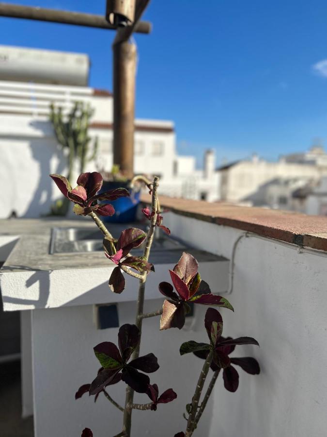 The Roof Apartment Tarifa Bagian luar foto